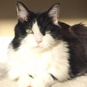 Lisa Tracy's photo