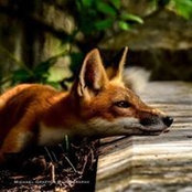 Carrie Roush's photo