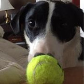 Morgan Banwell's photo