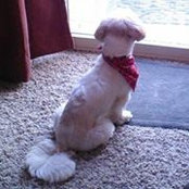 Leslie Eyton's photo