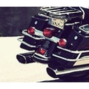 Riad Aboulteif's photo