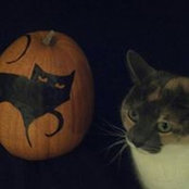 Cathie Hicks's photo