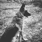 Andrew Rozmenoski's photo