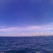 Jervis Lau's photo
