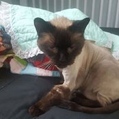 Chad Ladusaw's photo