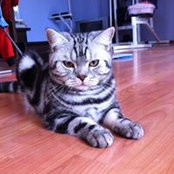Photo de Марина Лямина