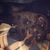 Elna Cason's photo