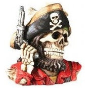 Avi Piratees foto