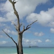 Joshua McElroy's photo