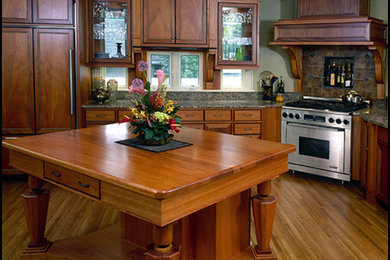 Kitchen - traditional kitchen idea in Minneapolis