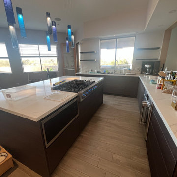 Whole House Remodel - Contemporary