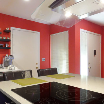 Ann Arbor Kitchen Remodel: Modern Meets Funky