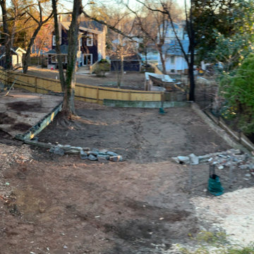 Deep cleaning and invasives removal