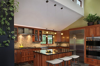 This is an example of a transitional kitchen in Detroit.