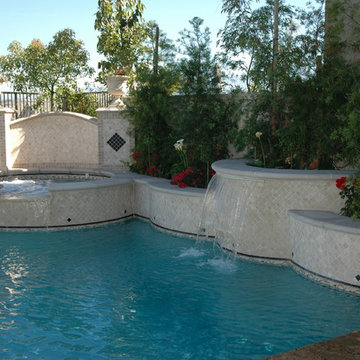Ladera Ranch Traditional Pool & Garden