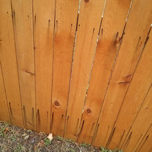 Western Red Cedar