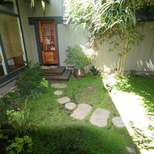 Courtyard - Japanese style - Asian