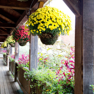 Autumn Decor & New England Road Trip