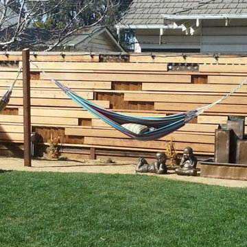 Mt View's_2_ Backyard
