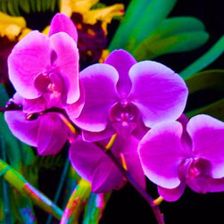 Photography - Products