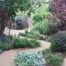 Side Yard