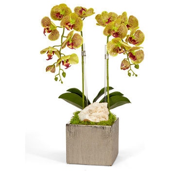 Artificial  double phalaneopsis  Orchid in Square Container With Geode, Green