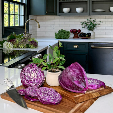 Eclectic Envy Kitchen Remodel