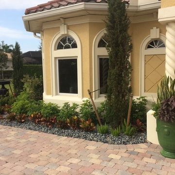 Front Yard Landscape