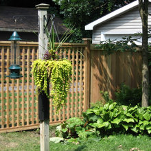 privacy fence