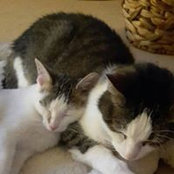 Karola Hamel's photo