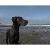 Mark Schackmuth's photo