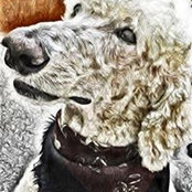 Sheila MacDonald's photo