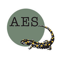 AES National Ltd