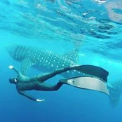 Rodrigo Martinez's photo