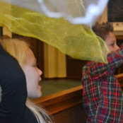 shelly diener's photo