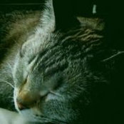 Evangelina Serda's photo