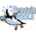 Penguin Pools's profile photo