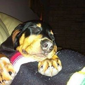 Michelle Clough's photo