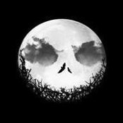 Stephanie Schoonover's photo