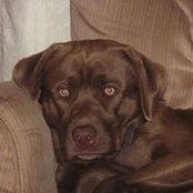 David Logan's photo
