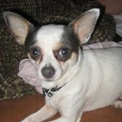Adam Decker's photo