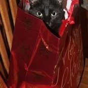 Kathy Malaspina's photo
