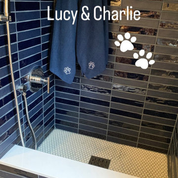 DOG BATH / LAUNDRY / POWDER ROOM