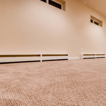 Eagle Modern Basement