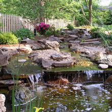 Exterior Ideas