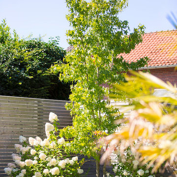 Privatgarten in Korschenbroich