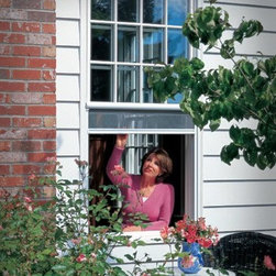 Window Phantom Screens - Roller Shades