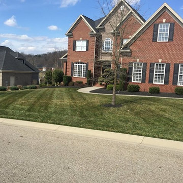 Exterior Homes