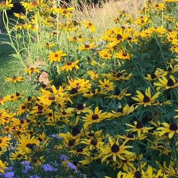 Long Border