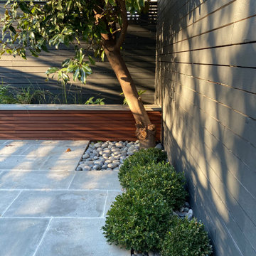 Windsor Terrace backyard